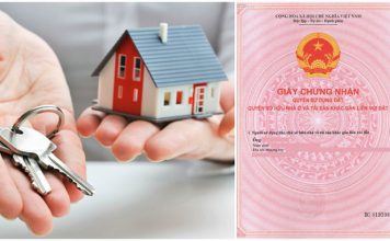 Nghị định 91/2019/NĐ-CP của Chính Phủ về xử phạt vi phạm hành chính trong lĩnh vực đất đai