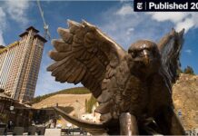 pokie machine wild games online