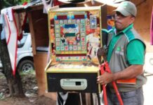 Dolphins Pearl Deluxe ranura giros gratis