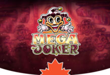 African Safari Spielautomat