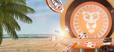 FlashDash app logowanie