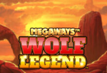 play Crazy Monkey online