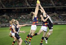 2025 F1 Italian GP Qualifying Performance sprint race motogp san marino