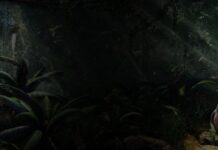 Casino inte casino Betspin mobil me konto 2026 Förteckning tillsamman casinon inte med registrering casino Betspin mobil