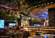 wild warriors Symbole