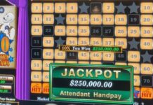 Spielen Sie crystal forest