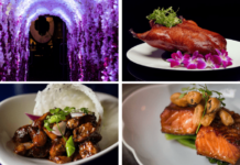 casino ComeOn $100 free spins