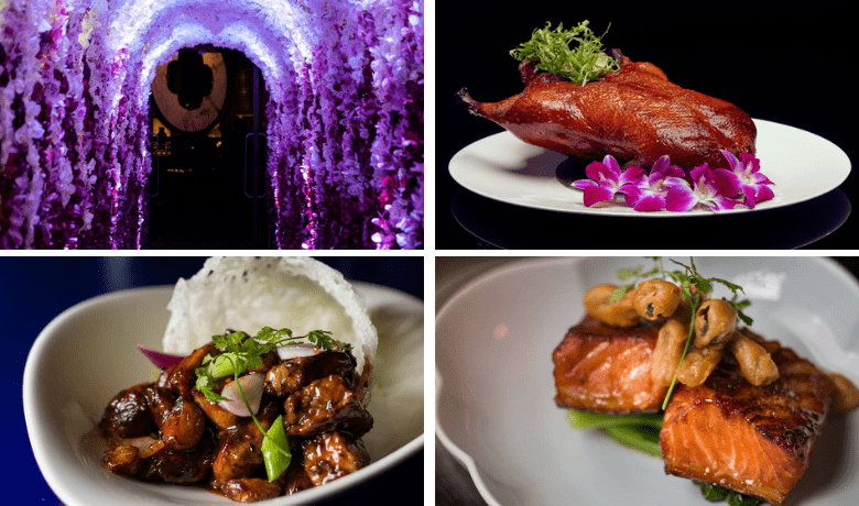 top cat slot no deposit