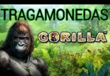 Plus redoutables casinos PayPal book of ra jeux de machines à sous l’extérieur du pays avec Mars 2026 book of ra jeux de machines à sous