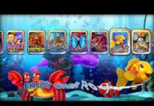 Noppes gokkasten plusteken casinospellen buiten casino Black Gold aanmelden casino Black Gold