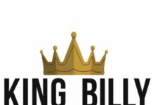 book of dead Slot Free Spins