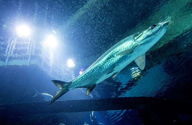 direkt von der Quelle