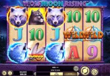 lucky drink Slotspiel für echtes Geld