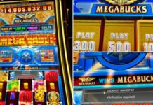 beetle mania $ 1 Kaution